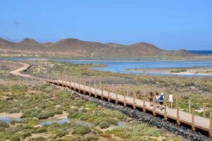foto isla de lobos las lagunitas