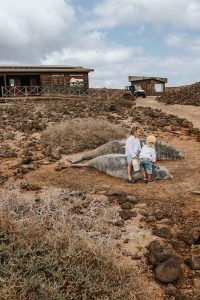 Centro de Visitantes
