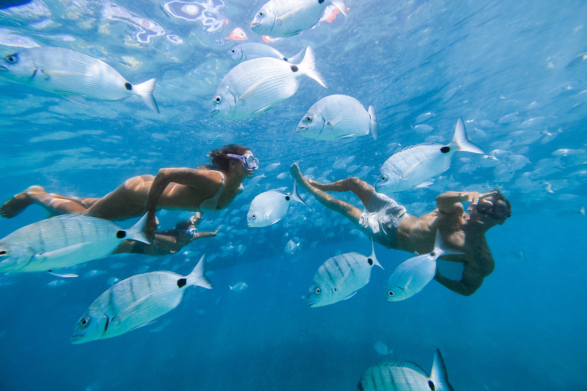 snorkel Isla de Lobos