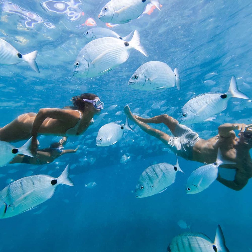 Snorkel en Isla de Lobos