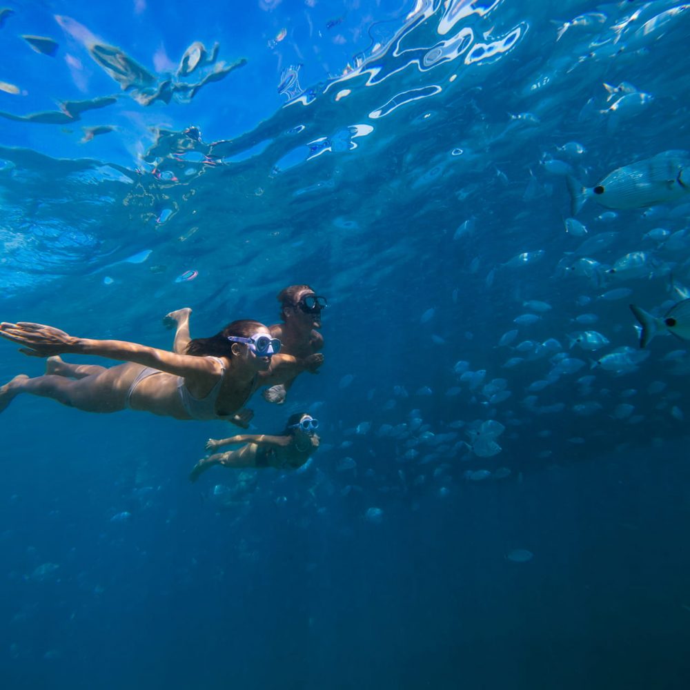 Snorkel en la Isla de Lobos