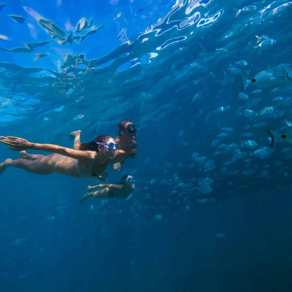 Snorkel en la Isla de Lobos