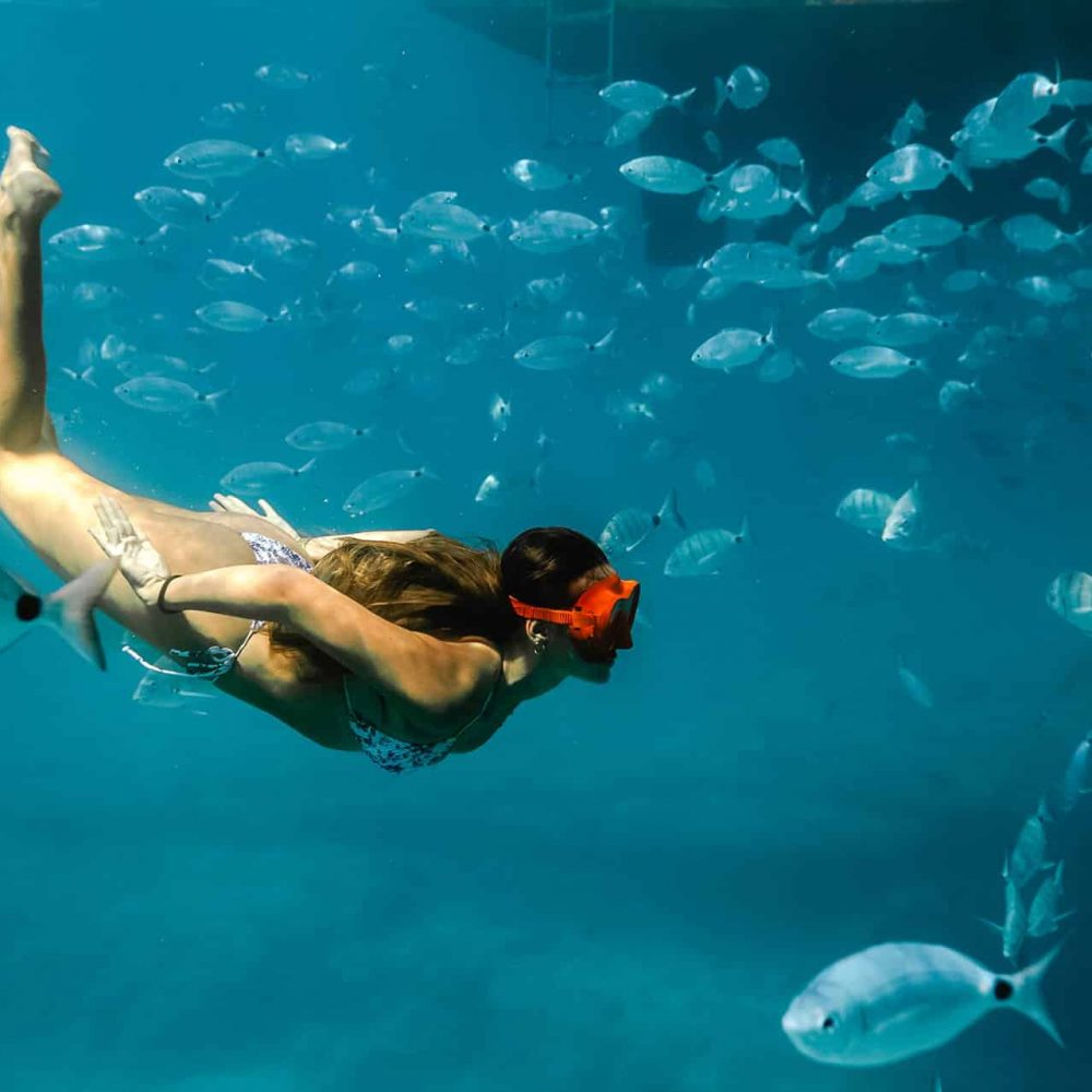 Haciendo snorkel en Isla de Lobos