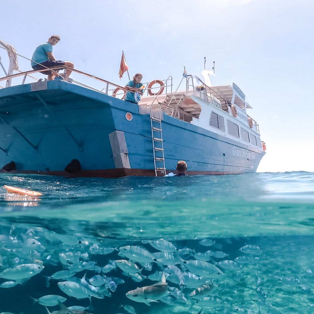 Peces haciendo snorkel en Isla de Lobos