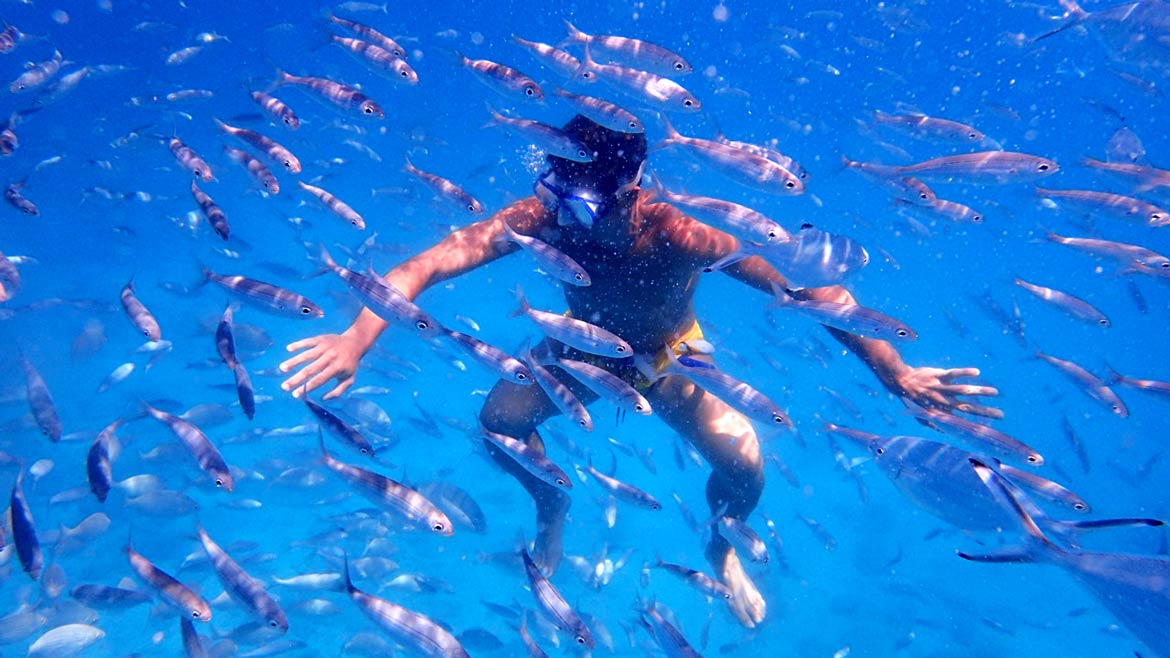 snorkeling with fish in fuerteventura, canary islands